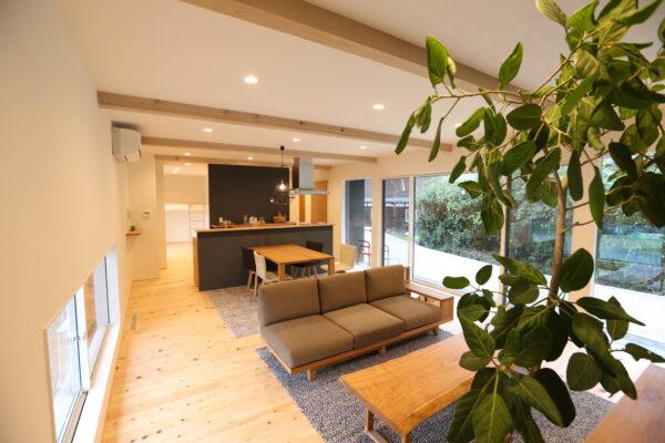 DOAX レッドシダー 枠セット（旧仕様）