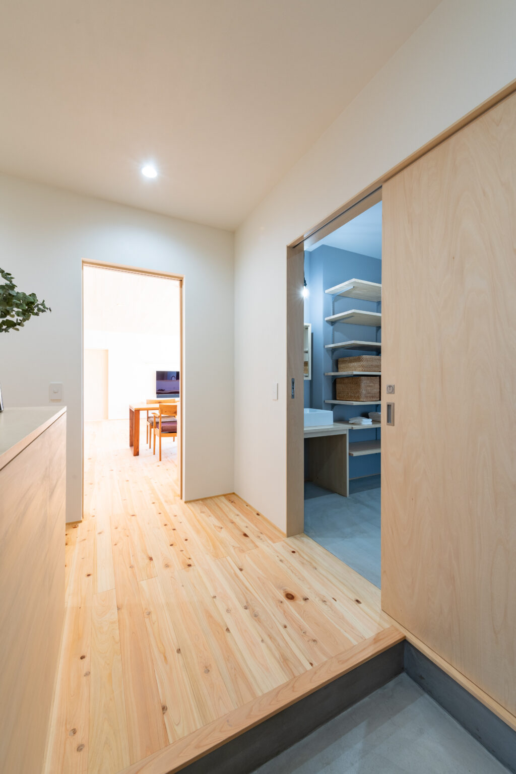 大分県|シナ材で魅せる普遍的な美しさ「DOAX」片引き戸